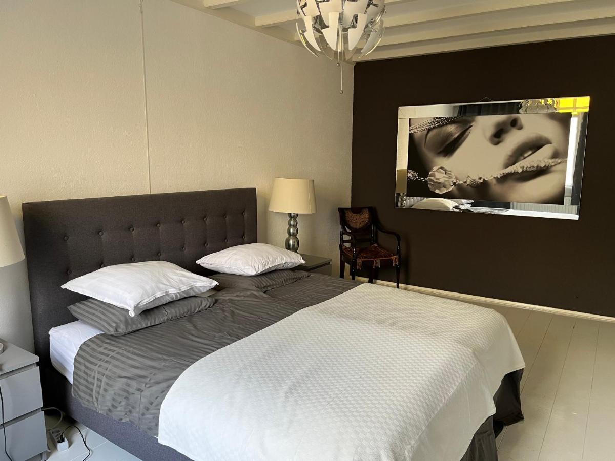 Villa domaine de la bergerie à Zuid-Beijerland Extérieur photo